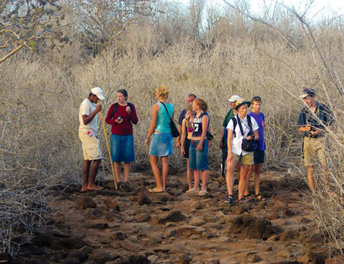 anahi galapagos catamaran